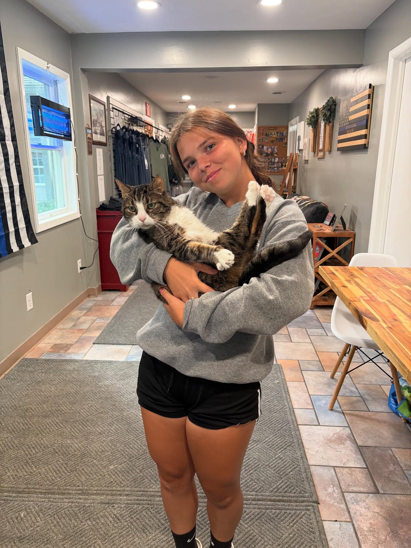 Cat Boarding Near Buffalo, NY | Evergreen Kennels in Batavia Cat Boarding Near Buffalo, NY | Evergreen Kennels in Batavia