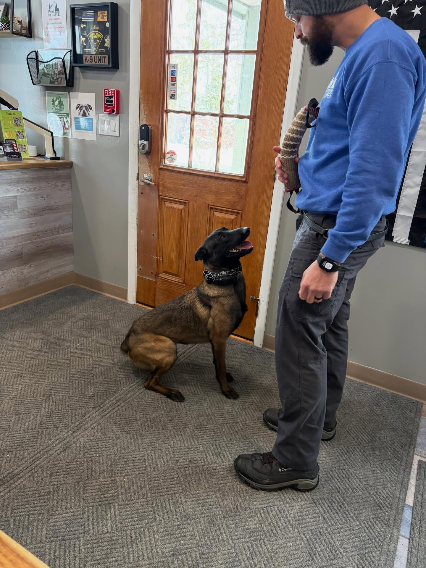 Dog Boarding Near Buffalo Niagara Airport | Evergreen Kennels, Batavia NY Dog Boarding Near Buffalo Niagara Airport | Evergreen Kennels, Batavia NY