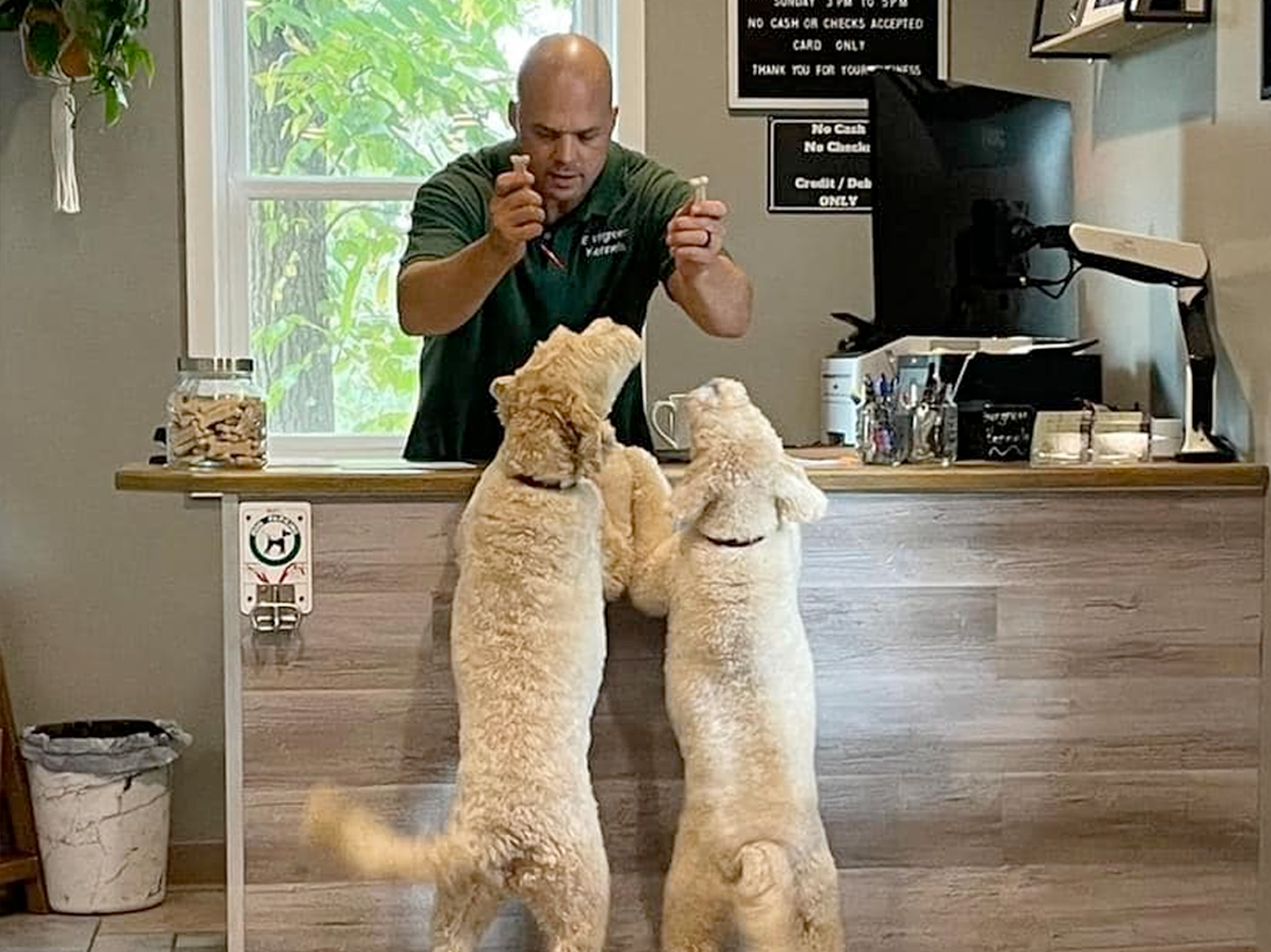 Introducing Paw Points: Earn Rewards Every Time You Visit Evergreen Kennels