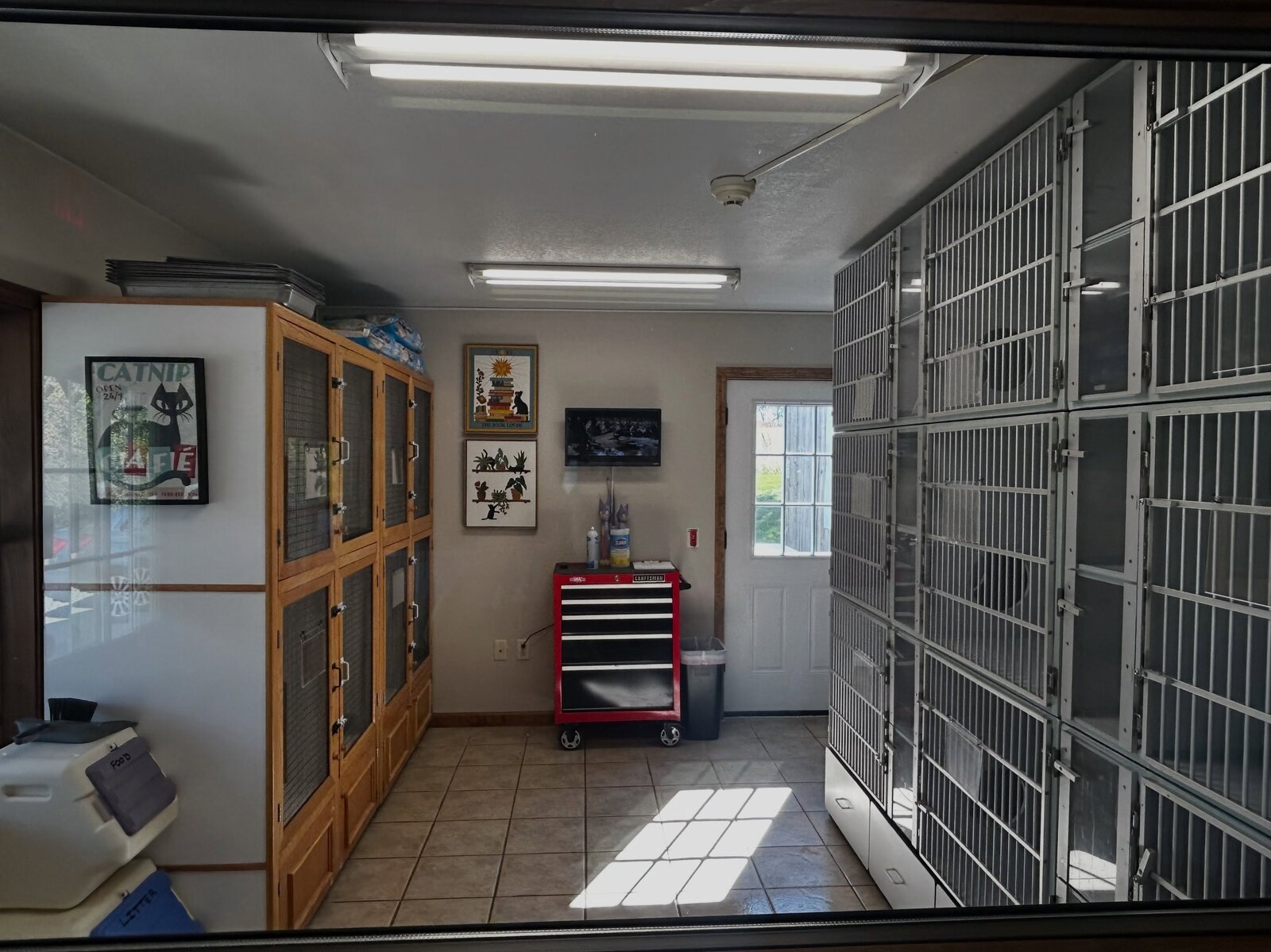 New Batavia Cat Area at Evergreen Kennels