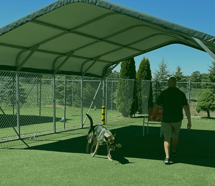 Evergreen Kennels Pet Boarding Facility