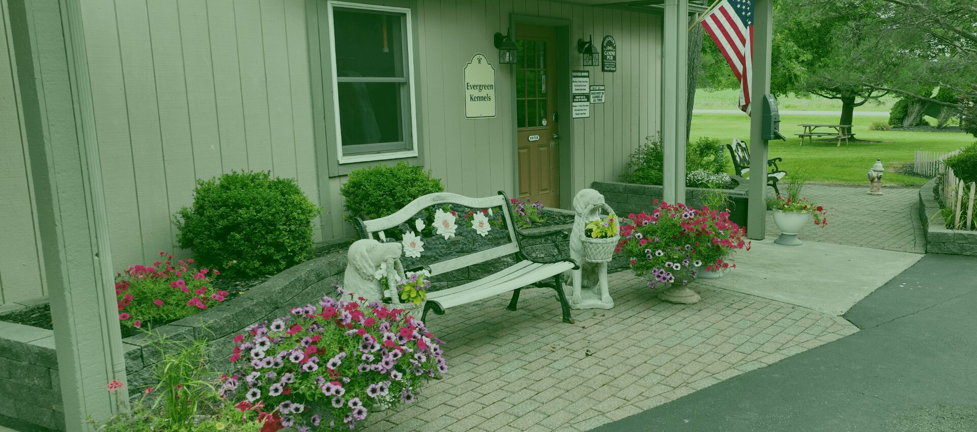 Pet Vacation at Evergreen Kennels