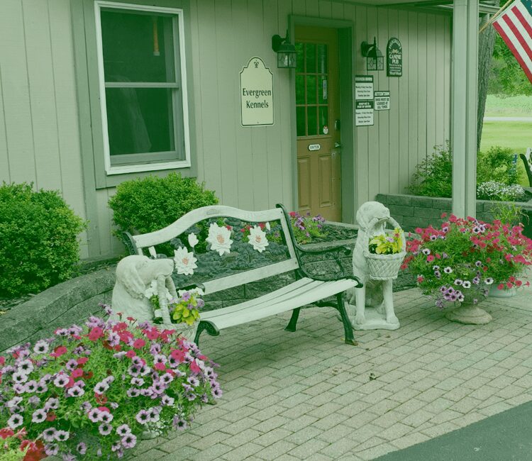 Pet Vacation at Evergreen Kennels