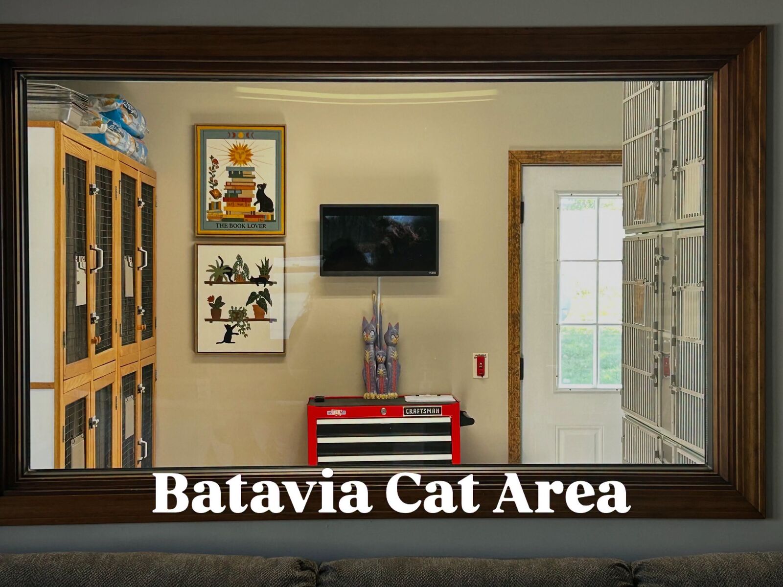 The new Batavia cat area at Evergreen Kennels