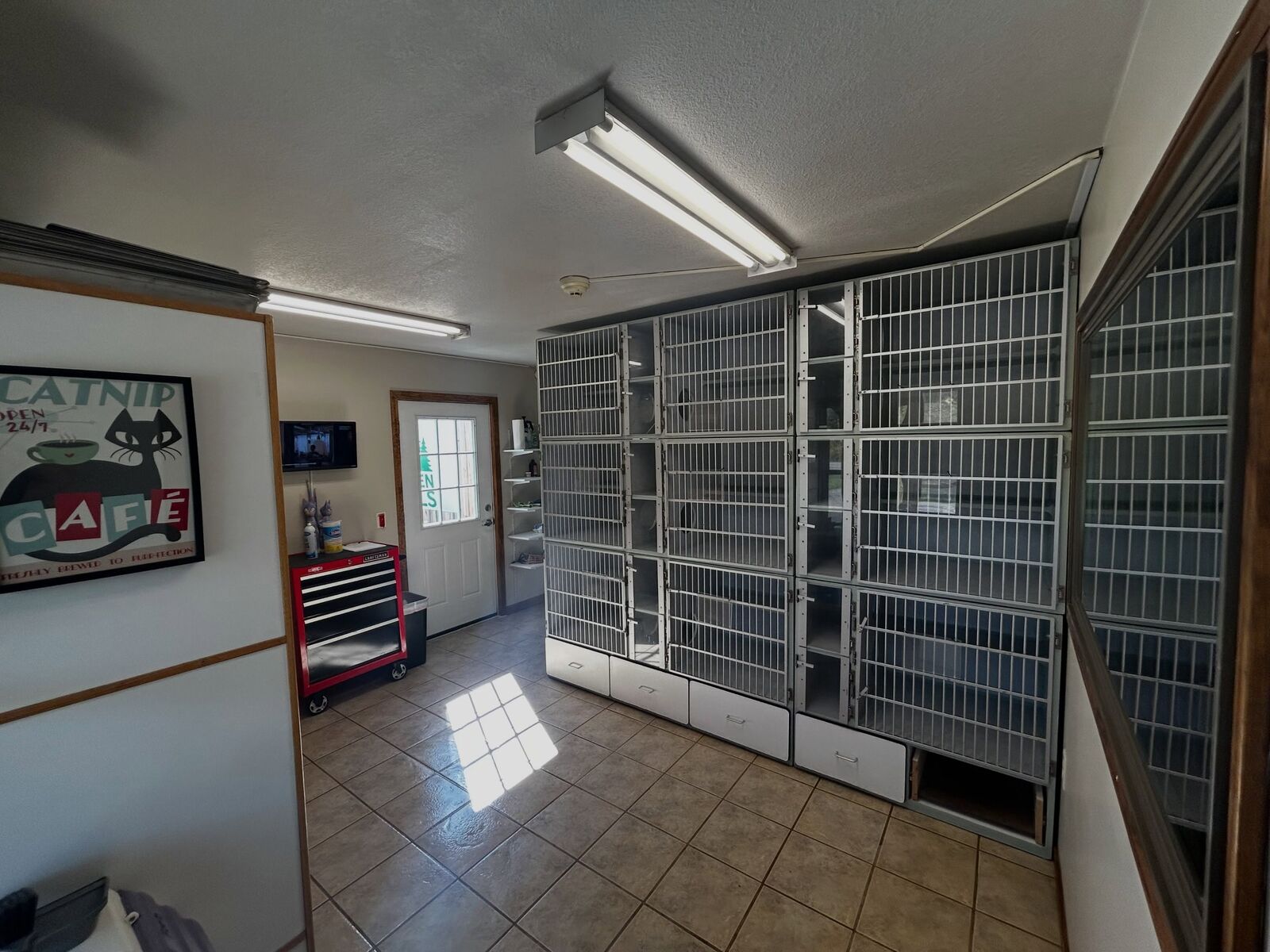 Multi-level cat condos in the upgraded cat boarding room in Batavia, NY